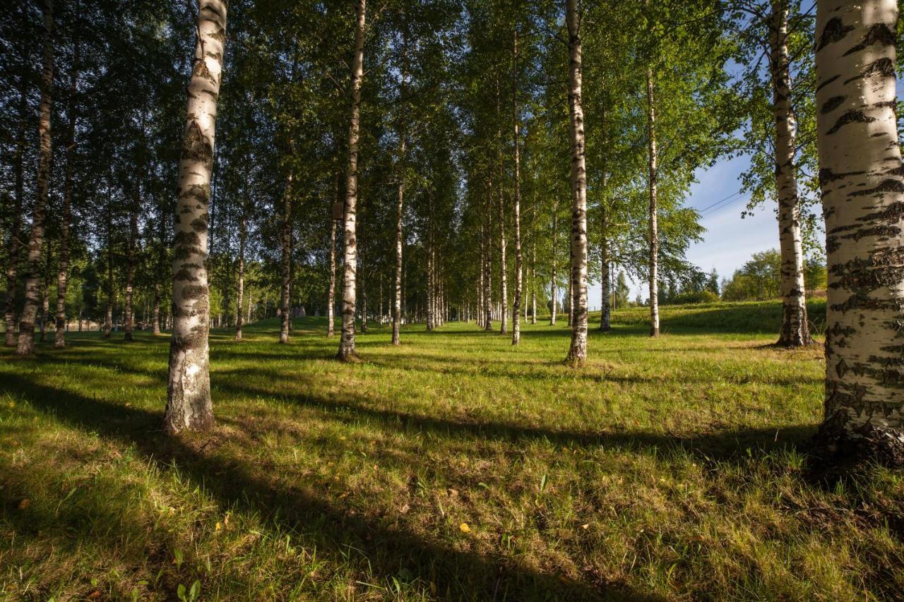 Polku Apartaments Virasoja Extérieur photo