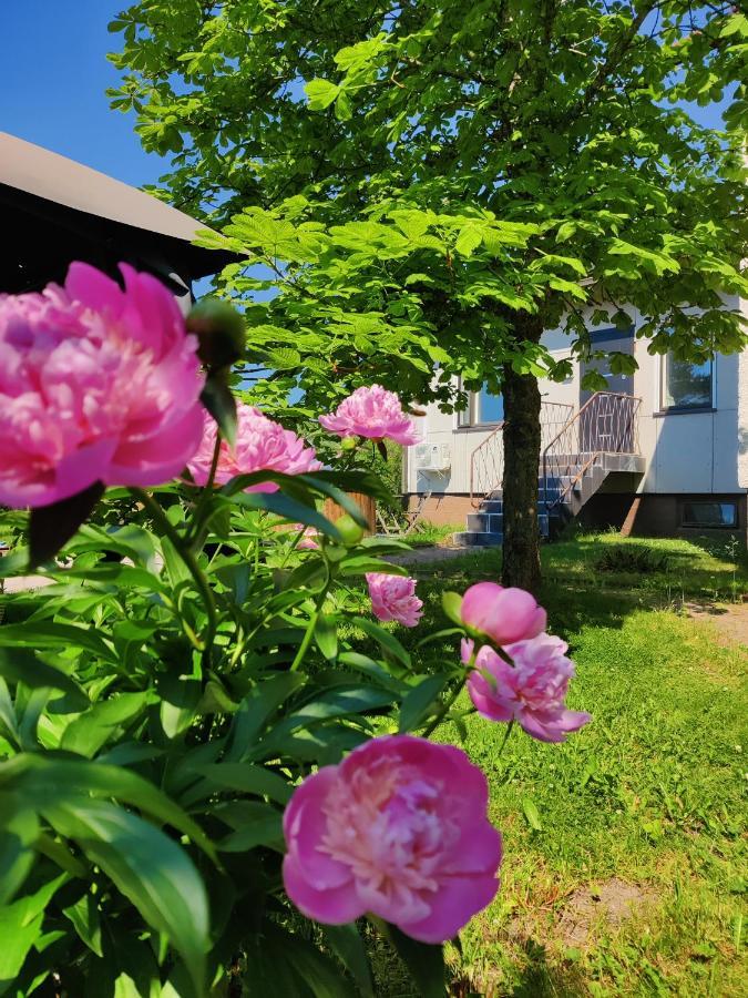 Polku Apartaments Virasoja Extérieur photo